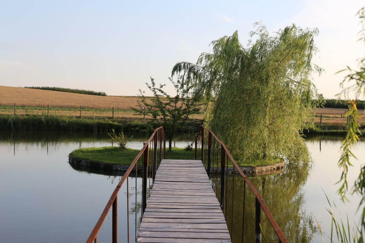 Вилла Agrowczasy Nad Stawem Gartatowice Экстерьер фото